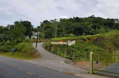 Terreno à venda, 3513 m² por r$ 1.500.000,00 - fortaleza alta - blumenau/sc