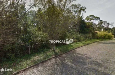 Terreno à venda, 3200 m² por r$ 1.400.000,00 - ponta aguda - blumenau/sc