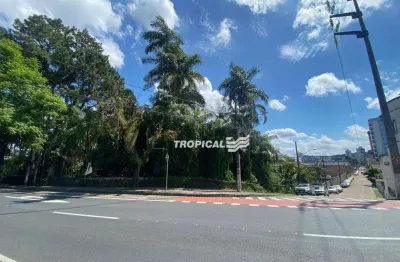 Terreno à venda, 281 m² por r$ 600.000,00 - velha - blumenau/sc