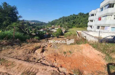 Terreno à venda, 10027 m² por r$ 3.000.000,00 - testo salto - blumenau/sc