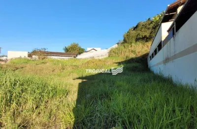 Terreno à venda, 990 m² por r$ 1.120.000,00 - fortaleza - blumenau/sc