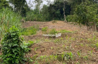 Terreno à venda, 450 m² por r$ 230.000,00 - salto weissbach - blumenau/sc