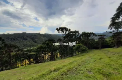 Terreno à venda, 260239 m² por r$ 1.000.000,00 - centro - doutor pedrinho/sc