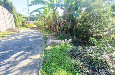 Terreno à venda, 960 m² por r$ 449.000,00 - fortaleza - blumenau/sc