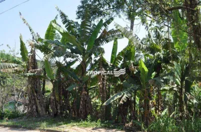 Terreno à venda, 420 m² por r$ 249.000,00 - fortaleza - blumenau/sc