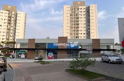 Loja para alugar, 65 m² por r$ 5.120,00/mês - velha - blumenau/sc
