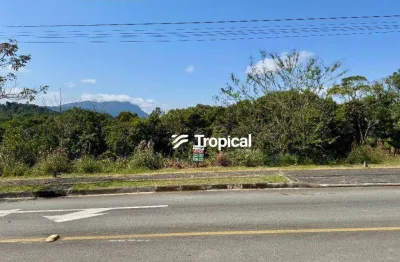 Terreno à venda, 325 m² por r$ 155.000,00 - itoupava central - blumenau/sc
