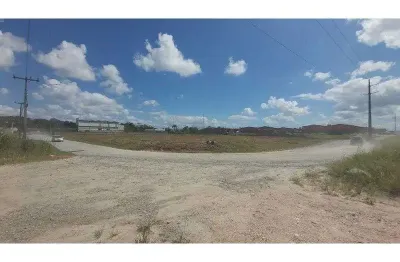Terreno comercial para alugar na Patricio Monteiro Cabral, Porto Grande, Araquari