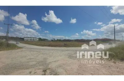 Terreno comercial para alugar na Patricio Monteiro Cabral, Porto Grande, Araquari