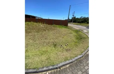Terreno comercial para alugar na Benno Reinoldo Schwabb, Colégio Agrícola, Araquari