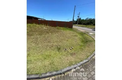 Terreno comercial para alugar na Benno Reinoldo Schwabb, Colégio Agrícola, Araquari