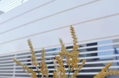 Casa com 3 quartos à venda no Residencial Monreale, Bragança Paulista 