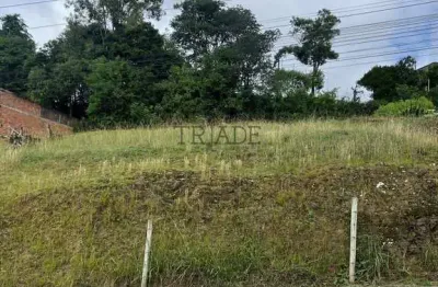 Terreno à venda no Salgado Filho, Caxias do Sul 