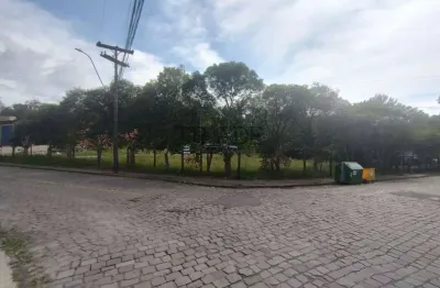 Terreno à venda no Cristo Redentor, Caxias do Sul 