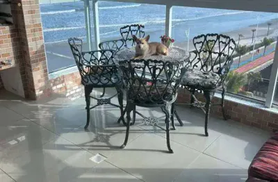 Encantador apartamento com vista mar ! Pé na areia! Divisa de Praia Grande com Mongaguá.