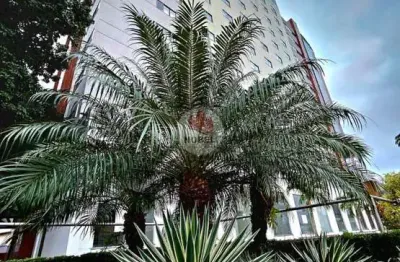 Apartamento com 1 quarto(s) e 1 banheiro(s) para alugar, 30 m² por r$ 2000 / mês