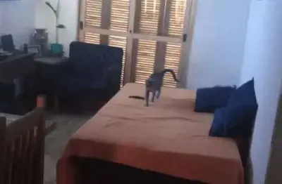 Casa com 2 quarto(s) e 1 banheiro(s) para alugar, 80 m² por r$ 3600 / mês