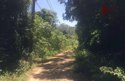Terreno à venda, 2970 m² por r$ 250.000,00 - planalto verde - são roque/sp