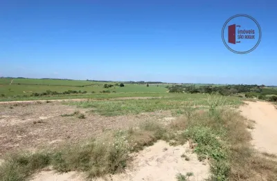 Fazenda porto feliz  com 40 alqueires otima topografia, todo em lavrouro a 10 km da castelo branco e 03 km do asfalto com casa de empregado, nascente,