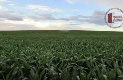 Faz 116 - fazenda com 3.035 hect na região de chapadão do céu – go | pasto e agricultura