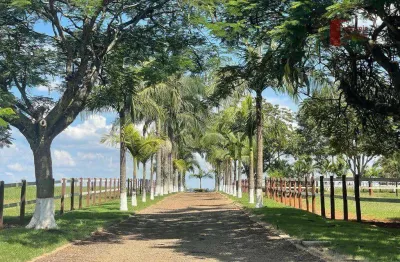 Haras em tatui e região com 52 alqs formado e plano