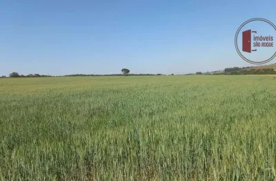 Vende-se fazenda de 38 alqueires altamente produtiva - avaré