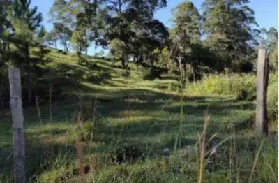 Terreno à venda, 10500 m² por r$ 985.000,00 - alto da serra (mailasqui) - são roque/sp