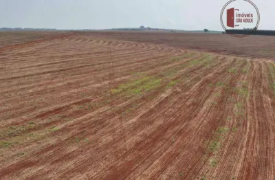 Fazenda à venda, 4477000 m² por r$ 250.000  por alqueire - piraju/sp