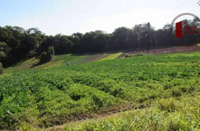 Chácara / sítio à venda em Recreio, Ibiúna 