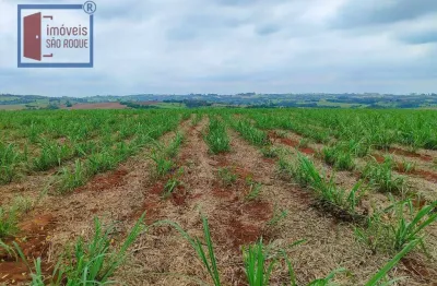 Fazenda à venda na Vila Mazzei, Itapetininga 