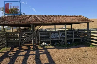 Fazenda à venda na Rua Francisco Barreto, Centro, Capão Bonito