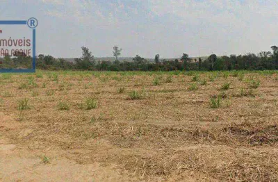 Fazenda à venda em Colina da Castelo, Porto Feliz 
