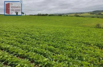 Chácara / sítio à venda no Campo Grande, Pilar do Sul 