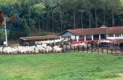 Ótima a venda  fazenda com 330 alq. na região de cachoeira paulista