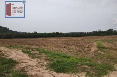 Chácara / sítio com 4 quartos à venda na Vila Mazzei, Itapetininga 