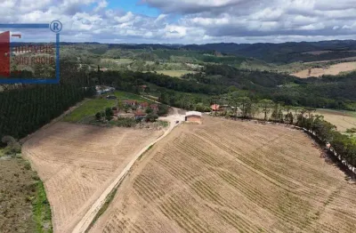 Chácara / sítio com 3 quartos à venda na Serra dos Touros, São Miguel Arcanjo 