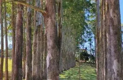 Fazenda com 2 salas à venda na Rua Amando de Barros, Centro, Botucatu