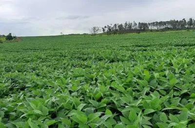 Chácara / sítio à venda na Rodovia DF-260, Paranoá, Brasília