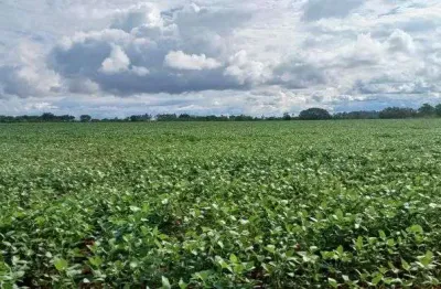 Fazenda 42 hectares no paranoá df-130 !!! 2.500.000 !!!