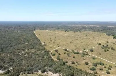 Fazenda espetacular arinos/mg 1.370 ha !!! 12.700.000 !!!
