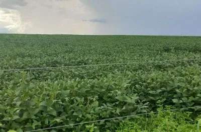 Sítio 19.54 hectares escriturado e registrado na região do padef !1.450.000 !