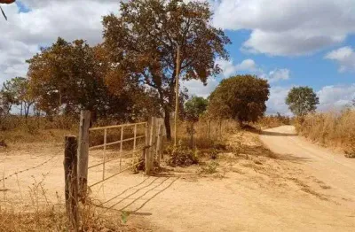 Chácara / sítio para alugar na Área Rural, Área Rural de Sobradinho, Brasília