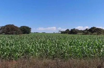 Chácara / sítio à venda na Área Rural, Área Rural do Paranoá, Brasília