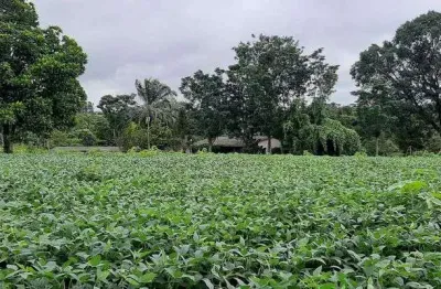 Sítio 12 hectares capão seco paranoá !!! 1.000.000 !!!