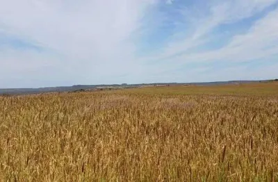 Fazenda espetacular na quebrada dos neres 298 hectares !!! 8.500.000 !!!