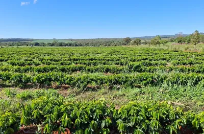 Vendo Excelente Sítio com 18 Hectares em Planaltina-DF !!! 2.500.000 !!!