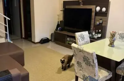 Casa com 2 quartos para alugar na Rua Dinah Silveira de Queiroz, 520, Enseada das Gaivotas, Rio das Ostras