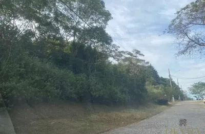 Dois lotes juntos com excelete oportunidade no jardim guanabara.