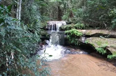 Fazenda à venda na Rodovia Santos Dumont, Ponte Nova, Teresópolis