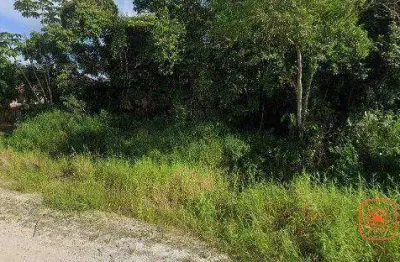 Terreno à venda, 368 m² por r$ 139.000,00 - praia das palmeiras - itapoá/sc
